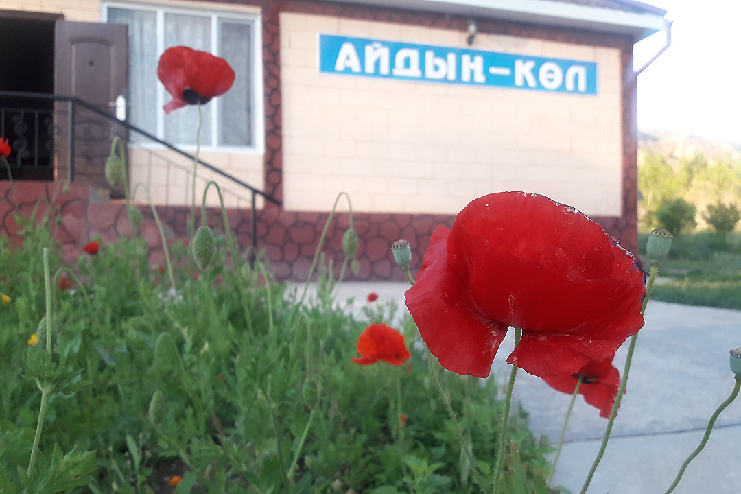 Айдын-Куль - лечение кобыльим молоком и отдых на природе